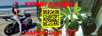 шишки Краснодар