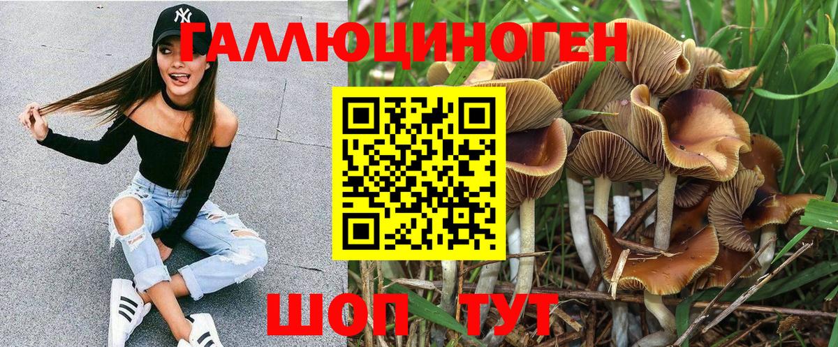 Галлюциногенные грибы мухоморы Канаш