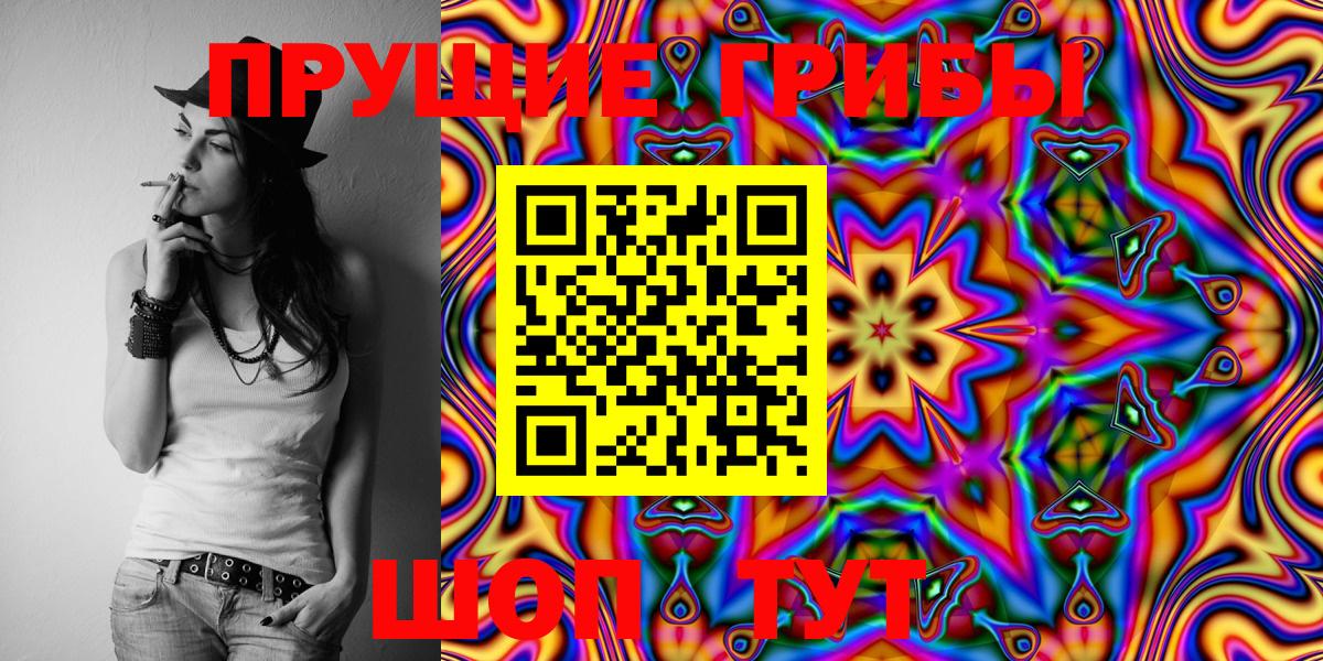 Канаш  Галлюциногенные грибы Psilocybine cubensis  Вход с VPN 